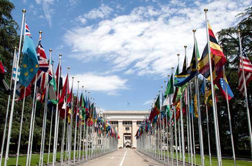 united nations flags